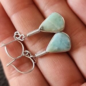 Elegant Silver and Blue Earrings